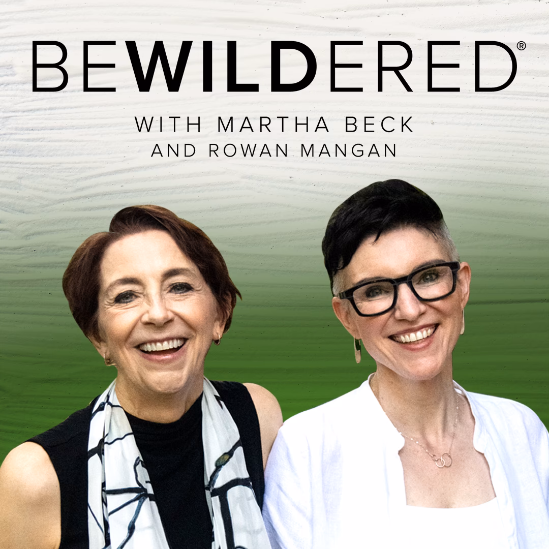 Does Martha Beck regulate Wayfinder life coaches?