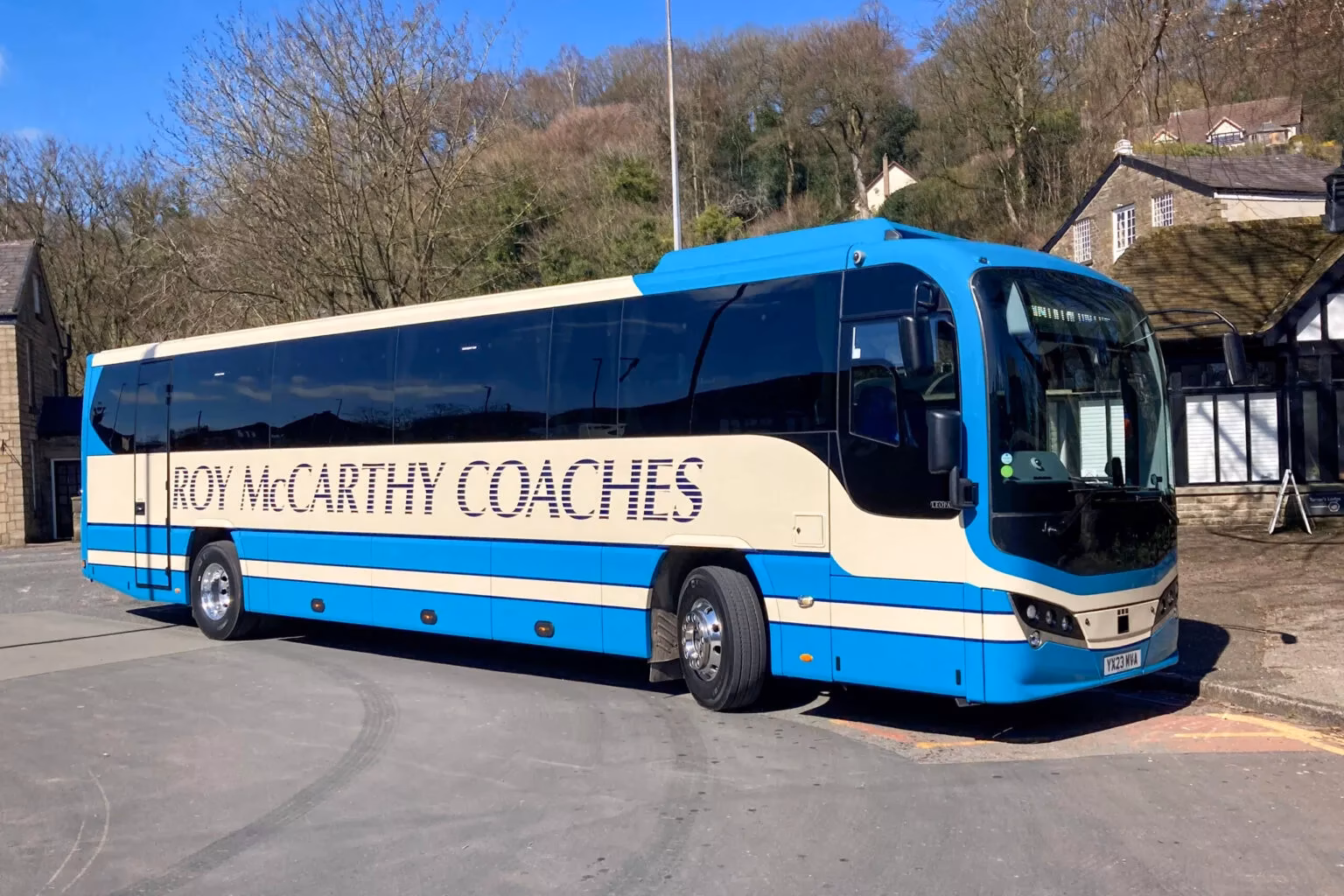 Who are Roy McCarthy coaches?