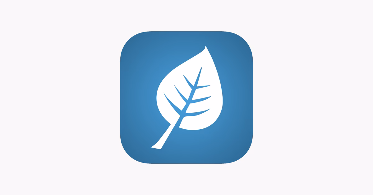 ¿Cómo aprender a aprender mindfulness?