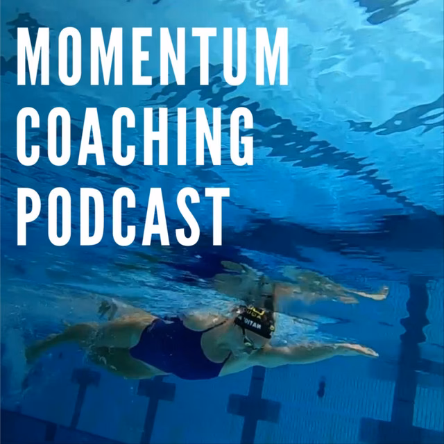 Who is momentum consult?