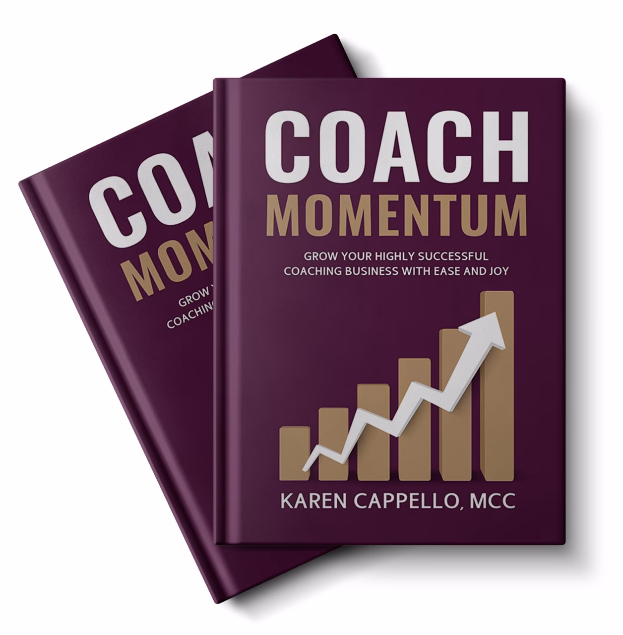 What is Momentum Education coaching?