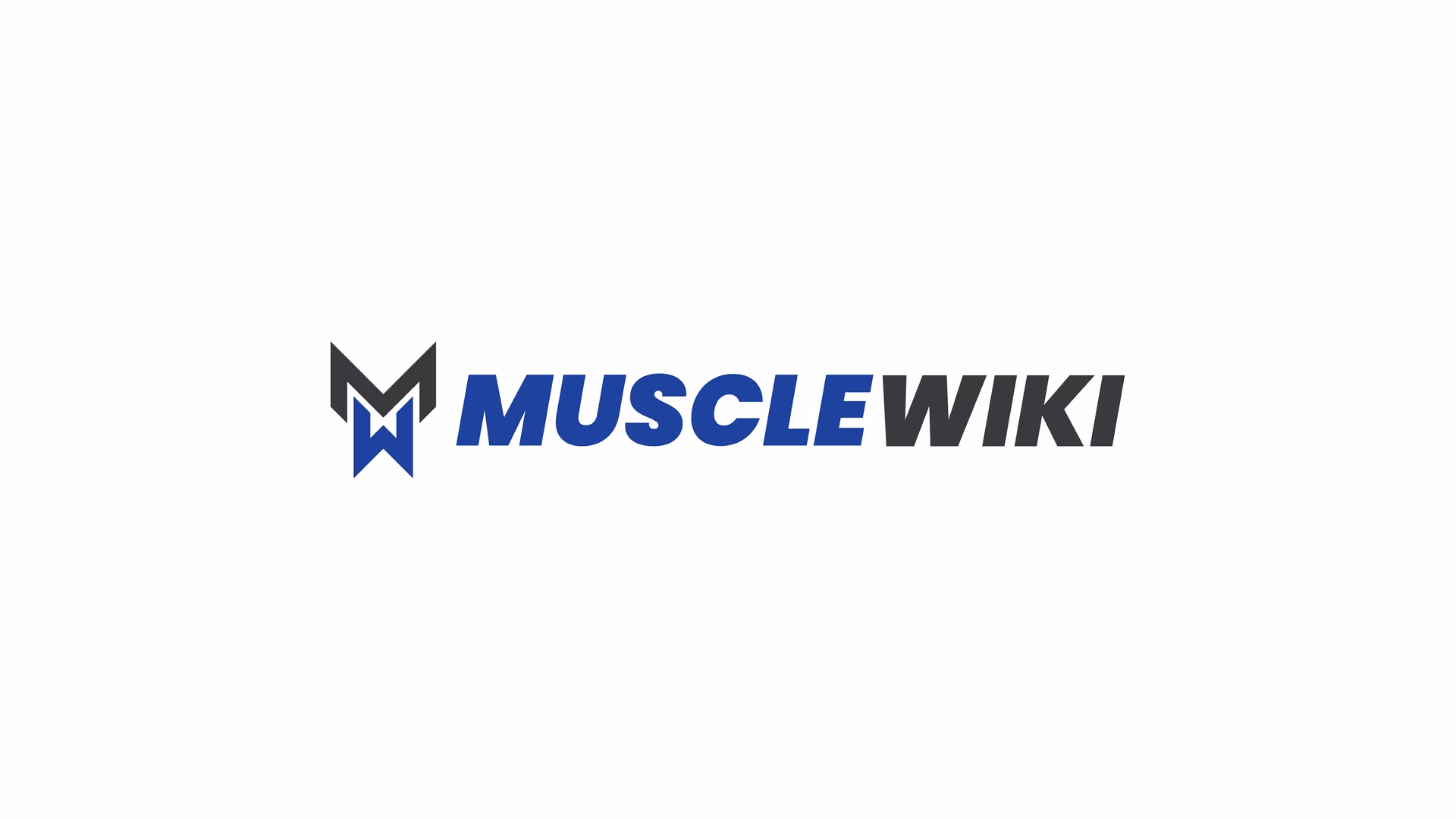 What is musclewiki?