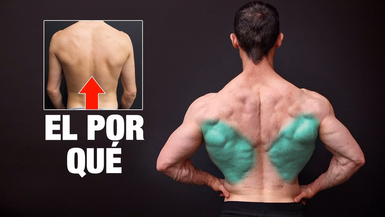 ¿Por qué se sientan dando la espalda al resto?