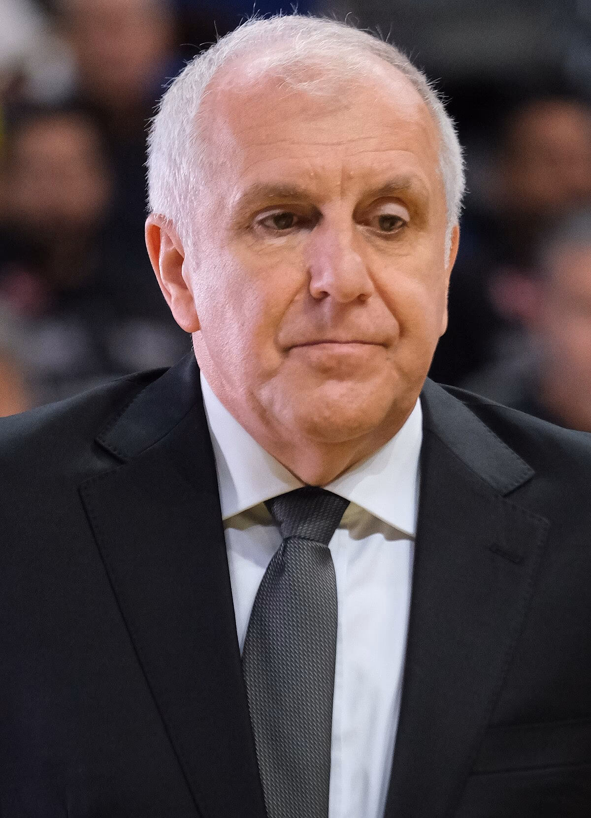 Did Zeljko Obradovic win a European Championship?