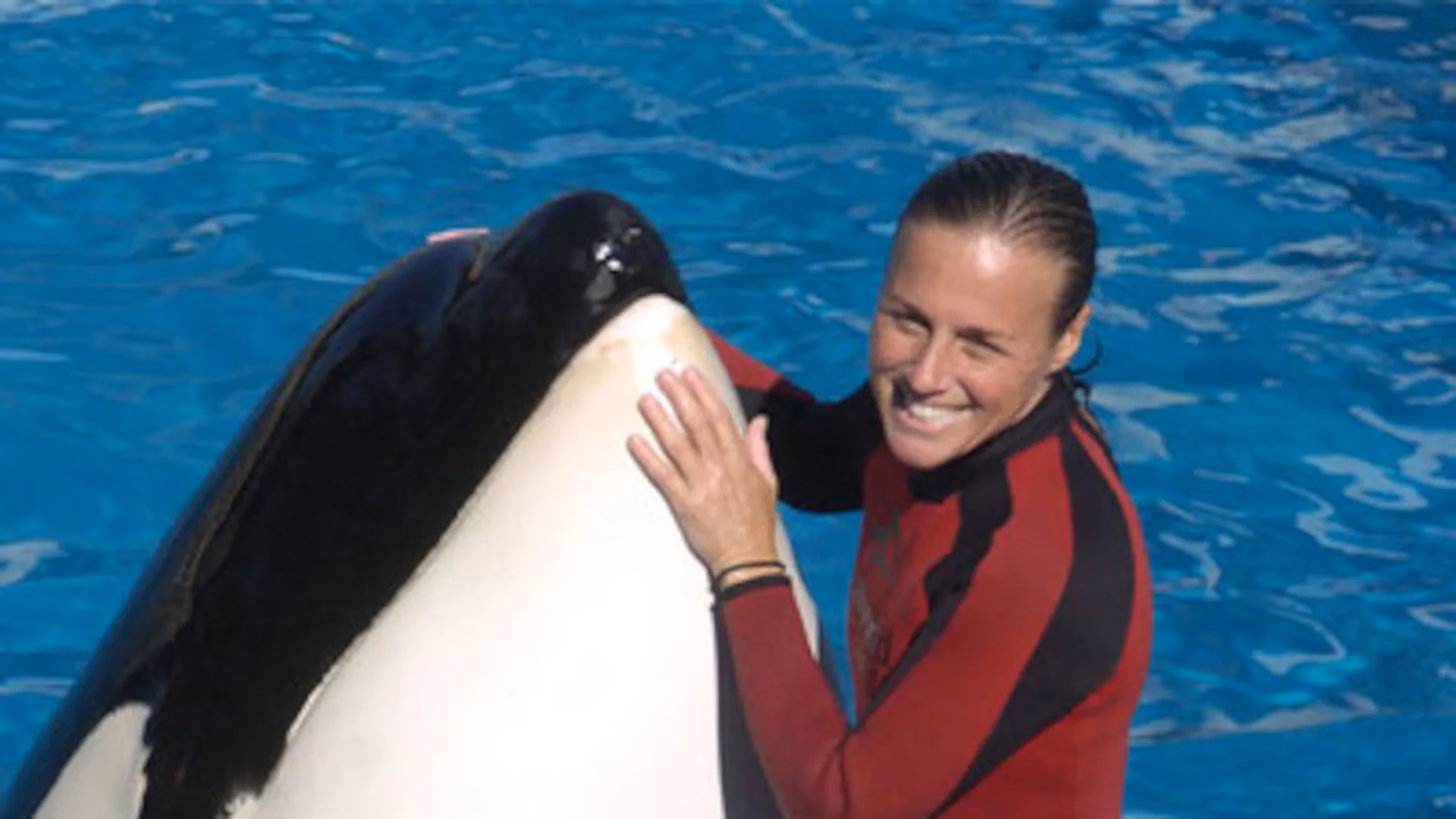 ¿Cuál es el comportamiento de la orca?