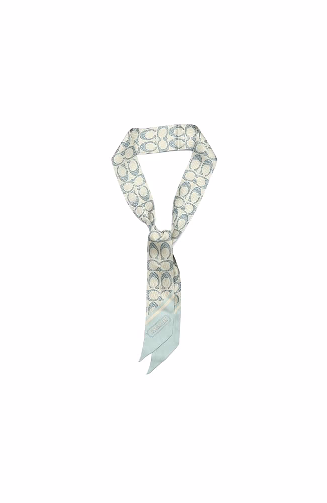 ¿Cuál es el objetivo de correr y coger el pañuelo?