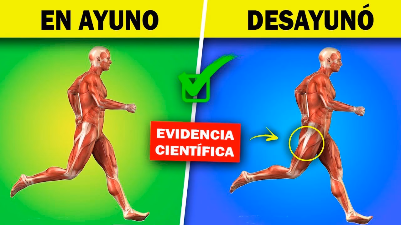 ¿Qué adaptaciones se producen al entrenar en ayunas?