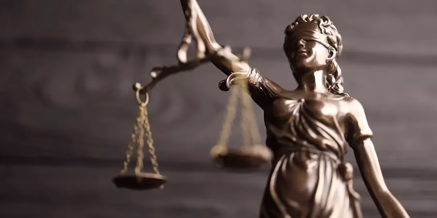 ¿Quién puede ser acusación popular?