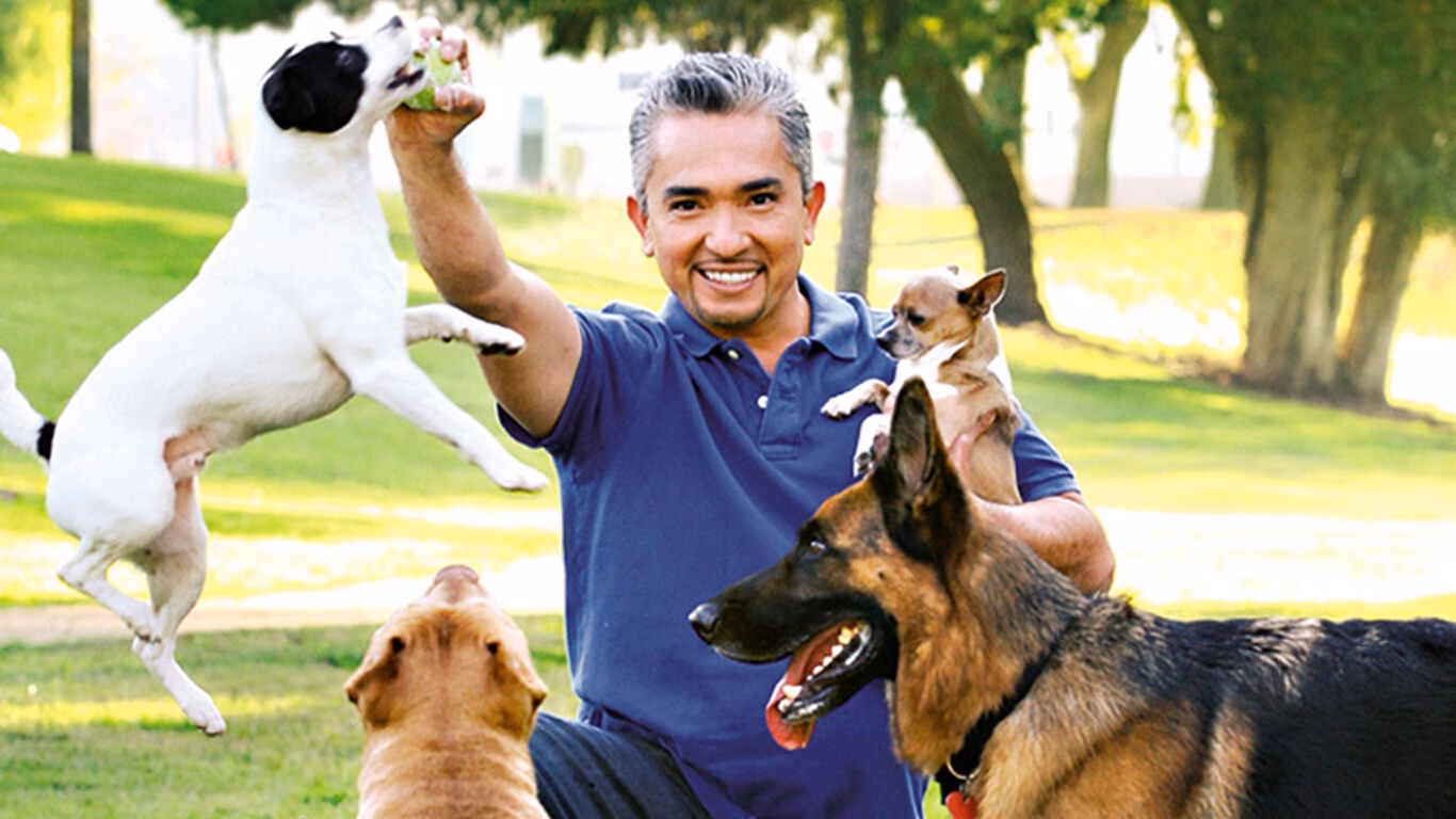 ¿Qué pasó con el pitbull de Cesar Millan?