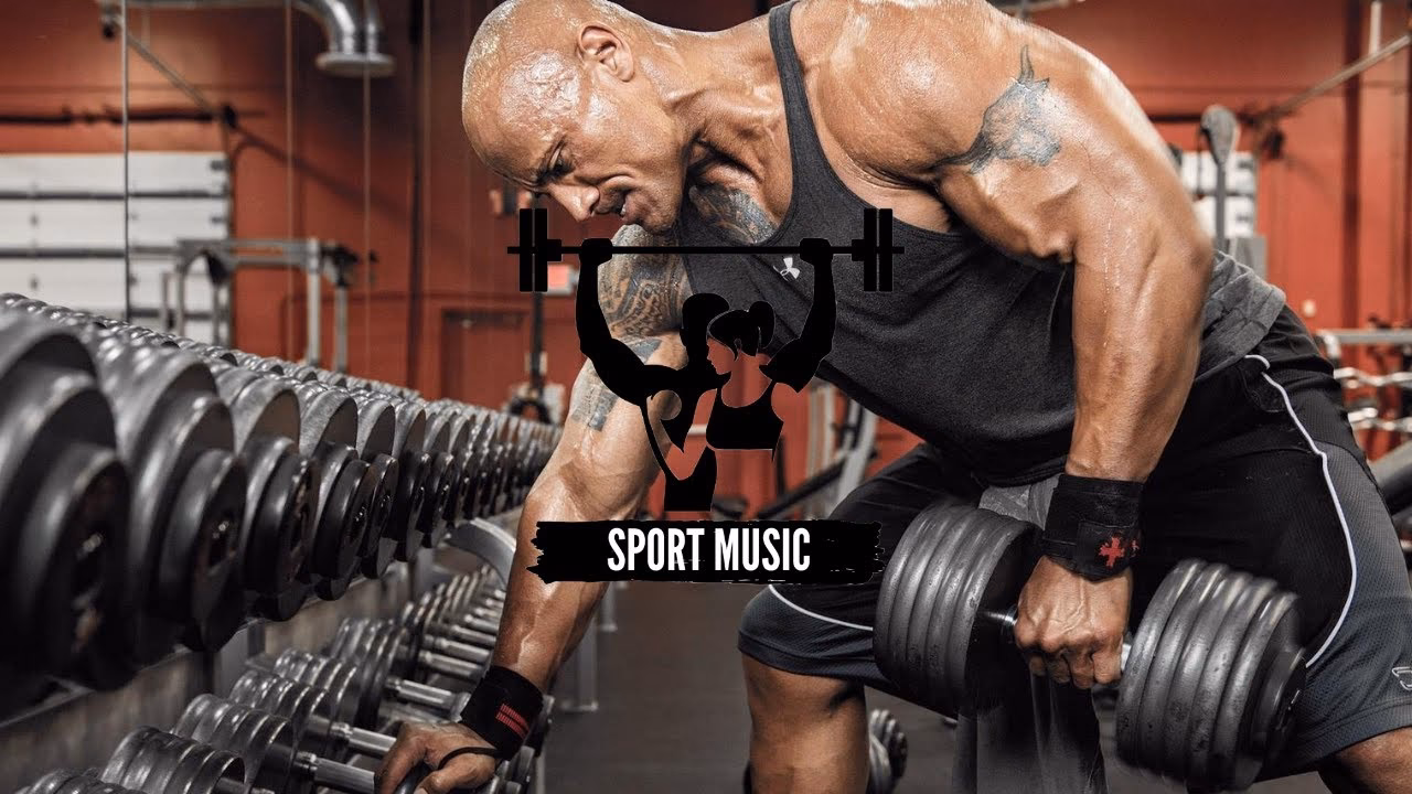 ¿Cuáles son los mejores artistas de entrenamiento con pesas?