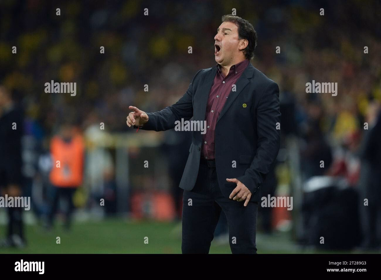 ¿Qué son los programas de entrenamiento de Coach Lorenzo?