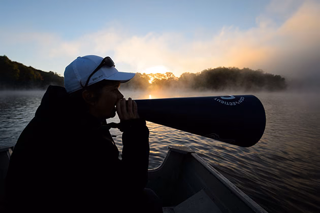 How do I re-accredit a rowing coach?