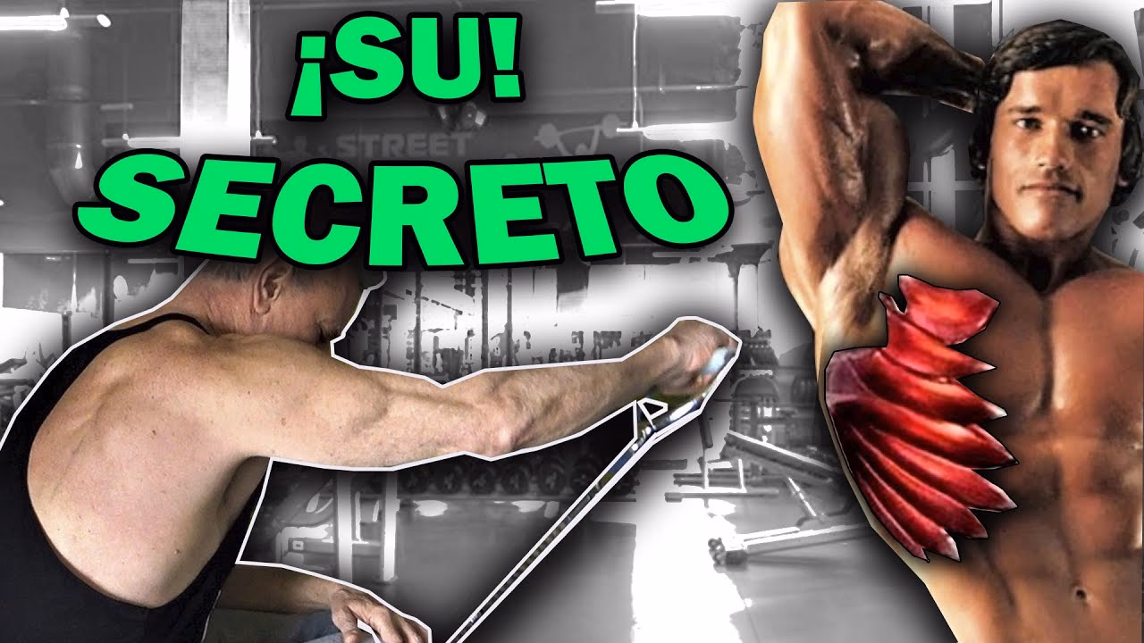 ¿Cuál es la importancia del serrato?