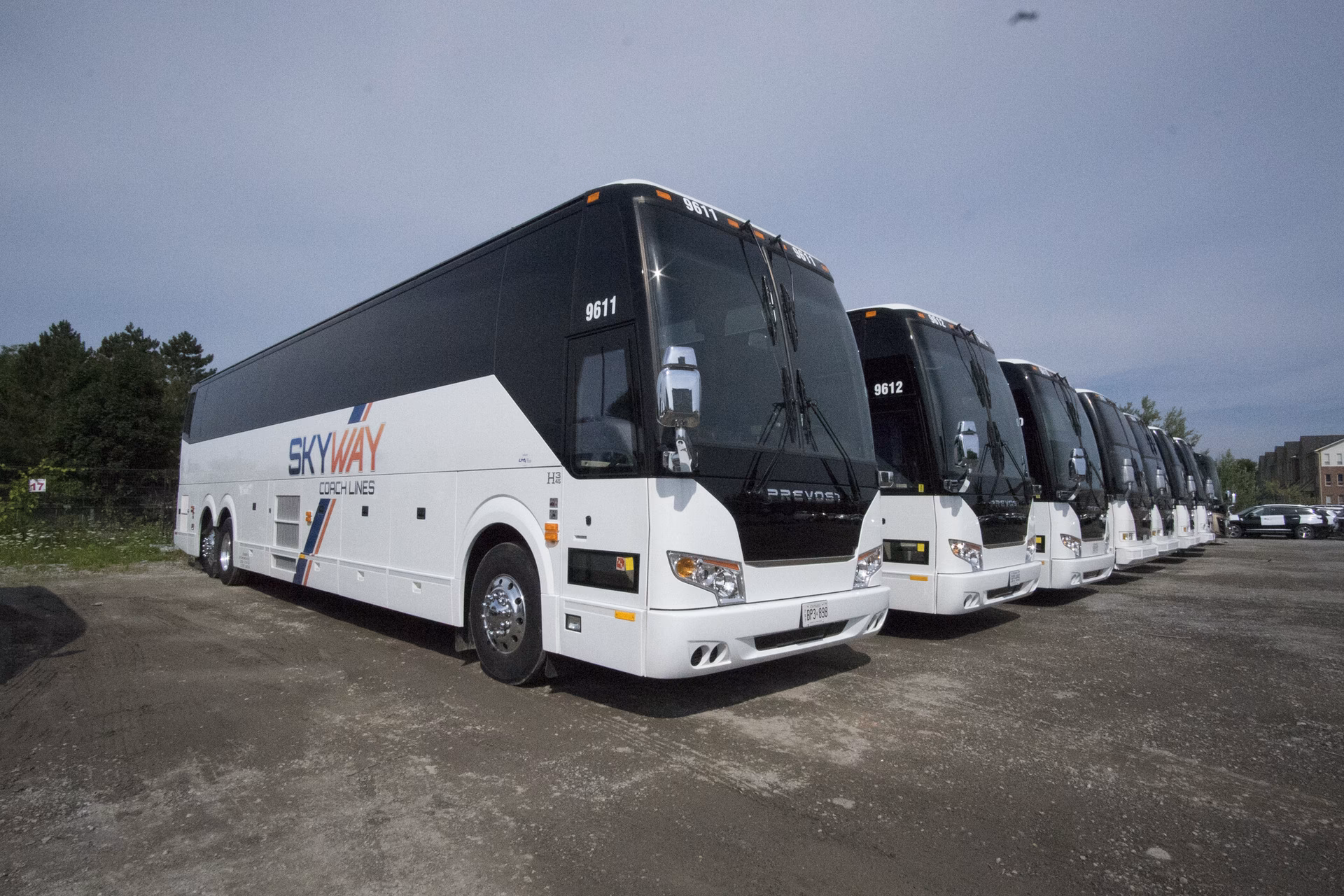 Who is Skyway Coach Lines & shuttle services?