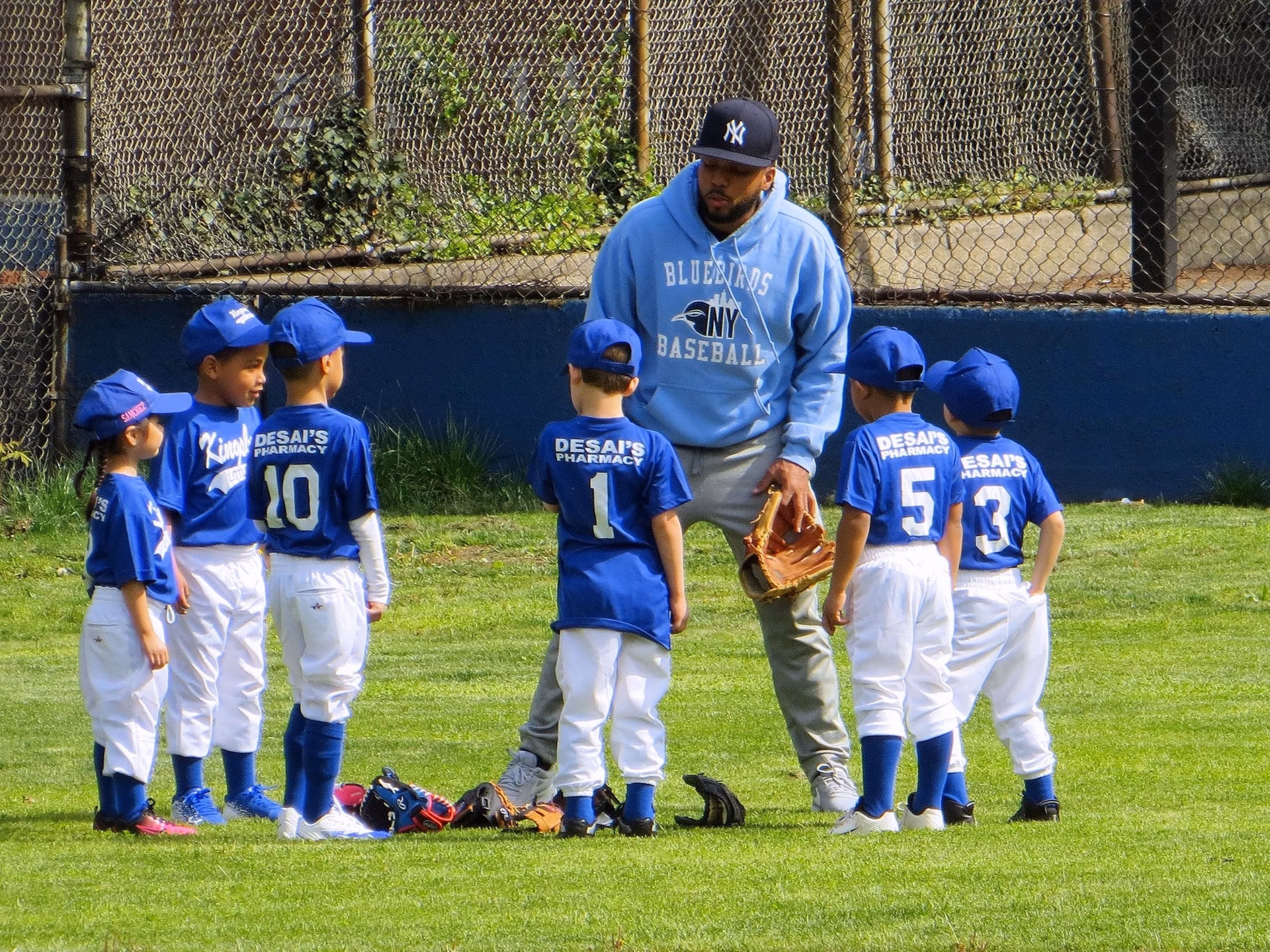 What types of sports can a coach do?