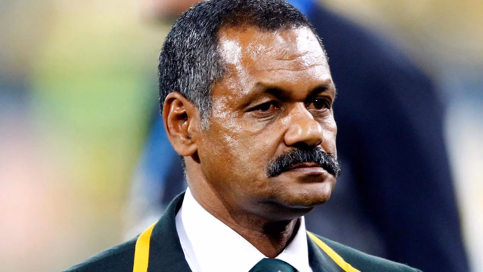 Do Springbok rugby players have a role in South Africa?