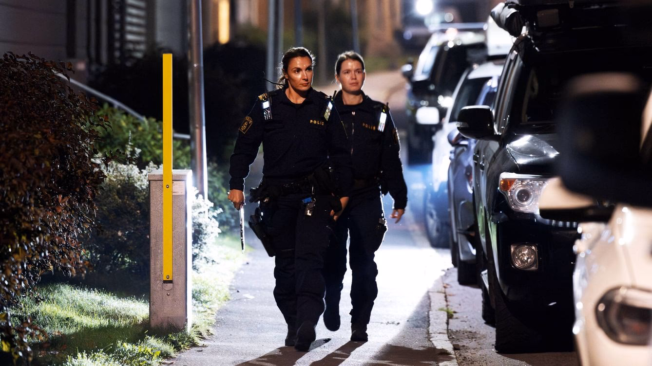 ¿Qué ha ordenado el gobierno de Suecia a sus fuerzas armadas?