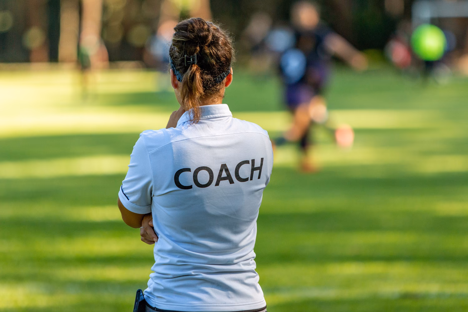 Quelle est la différence entre un coach et un enseignant-chercheur ?