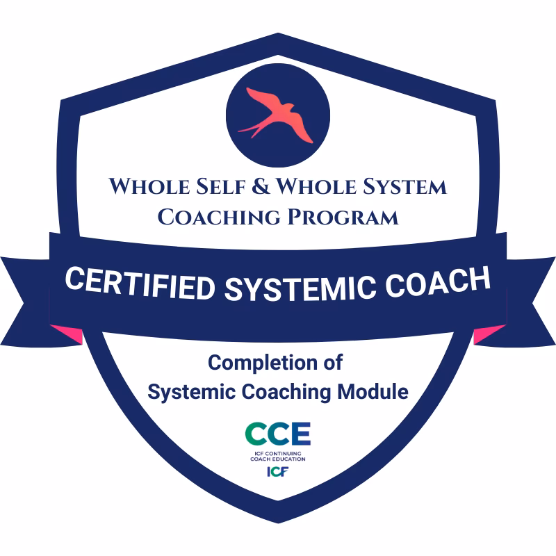 What is systemic coaching?