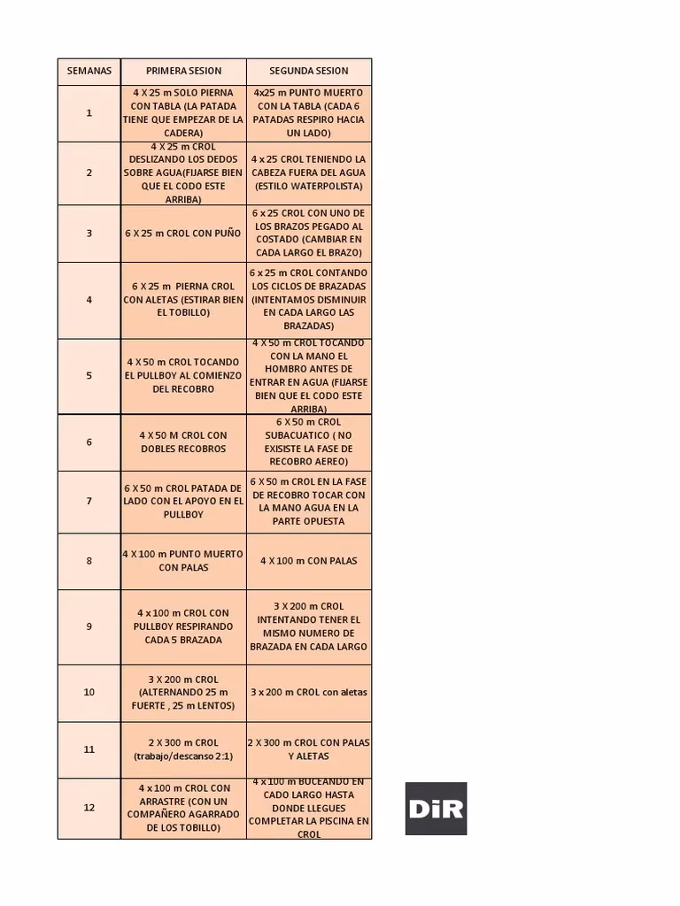 ¿Cuáles son las técnicas básicas de la natación?