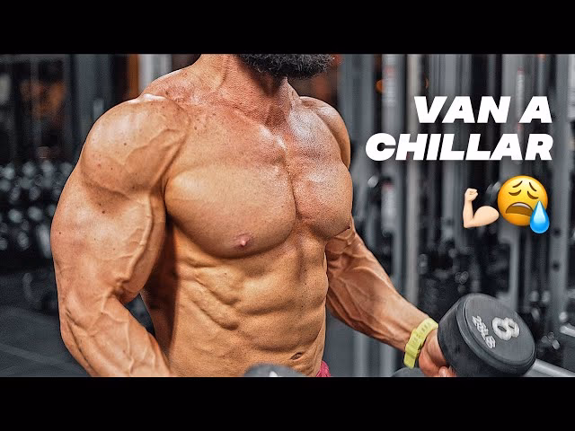 ¿Cómo aumentar el tamaño de los músculos del bíceps y tríceps?