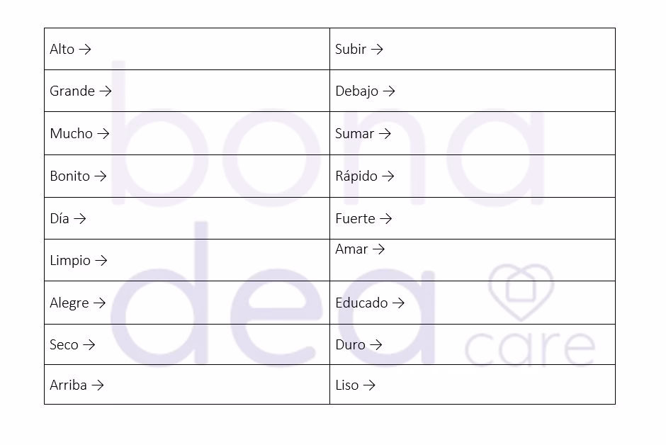 ¿Cuáles son los diferentes tipos de ejercicios para adultos mayores?