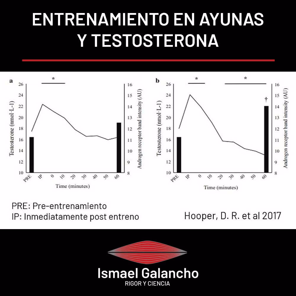 ¿Qué pasa si tomo testosterona en el Gym?