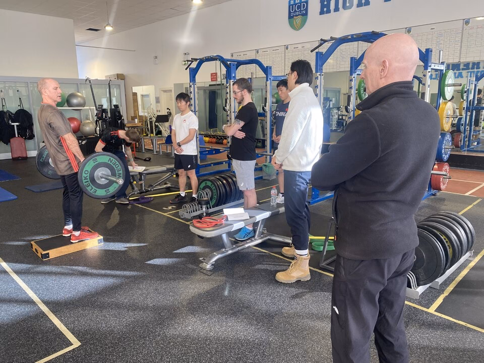 What is a UCD diploma in business & executive coaching?