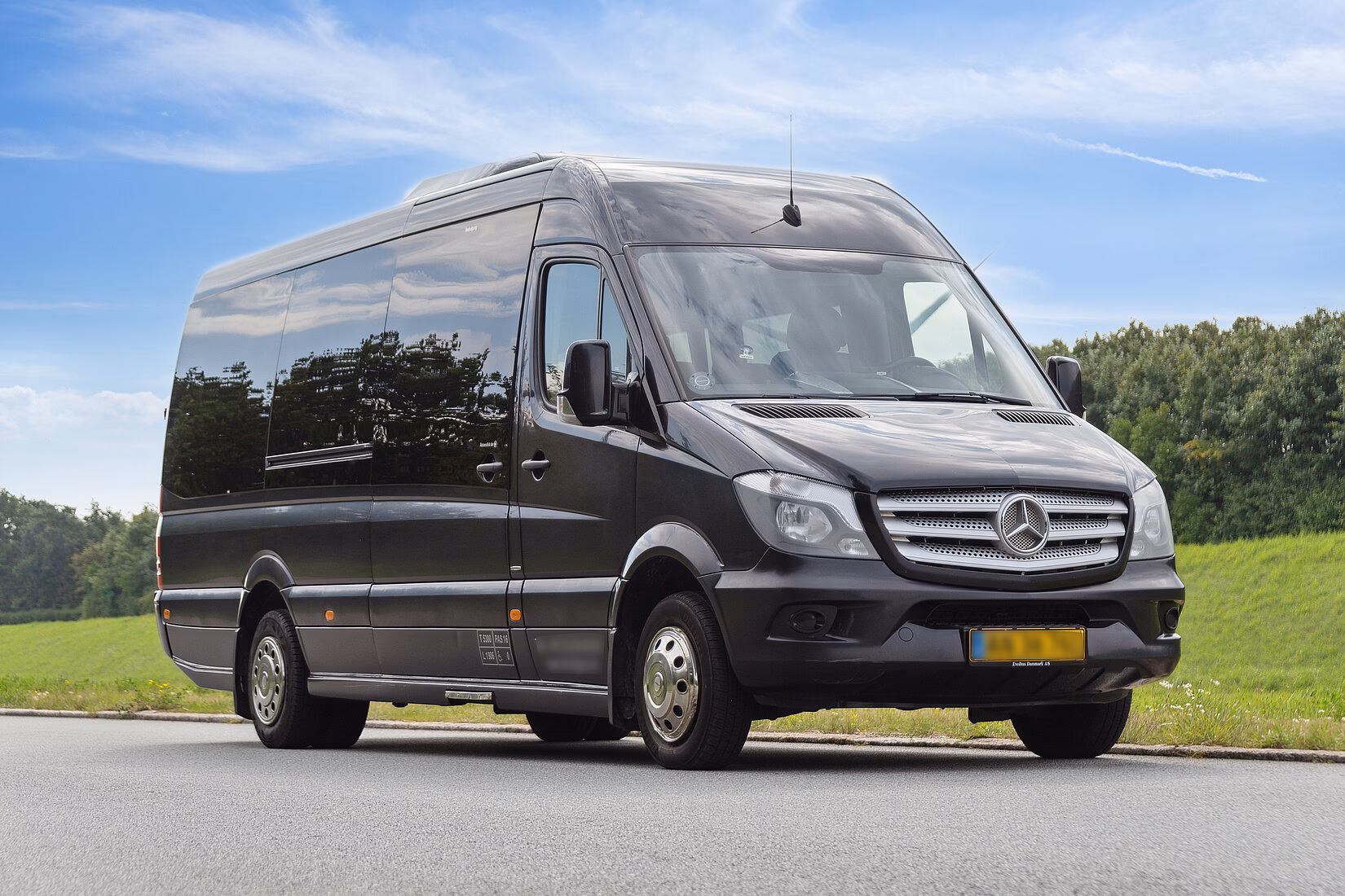 Who founded Mini VIP?