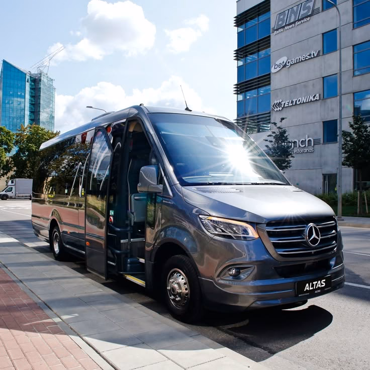 Who founded Mini VIP?