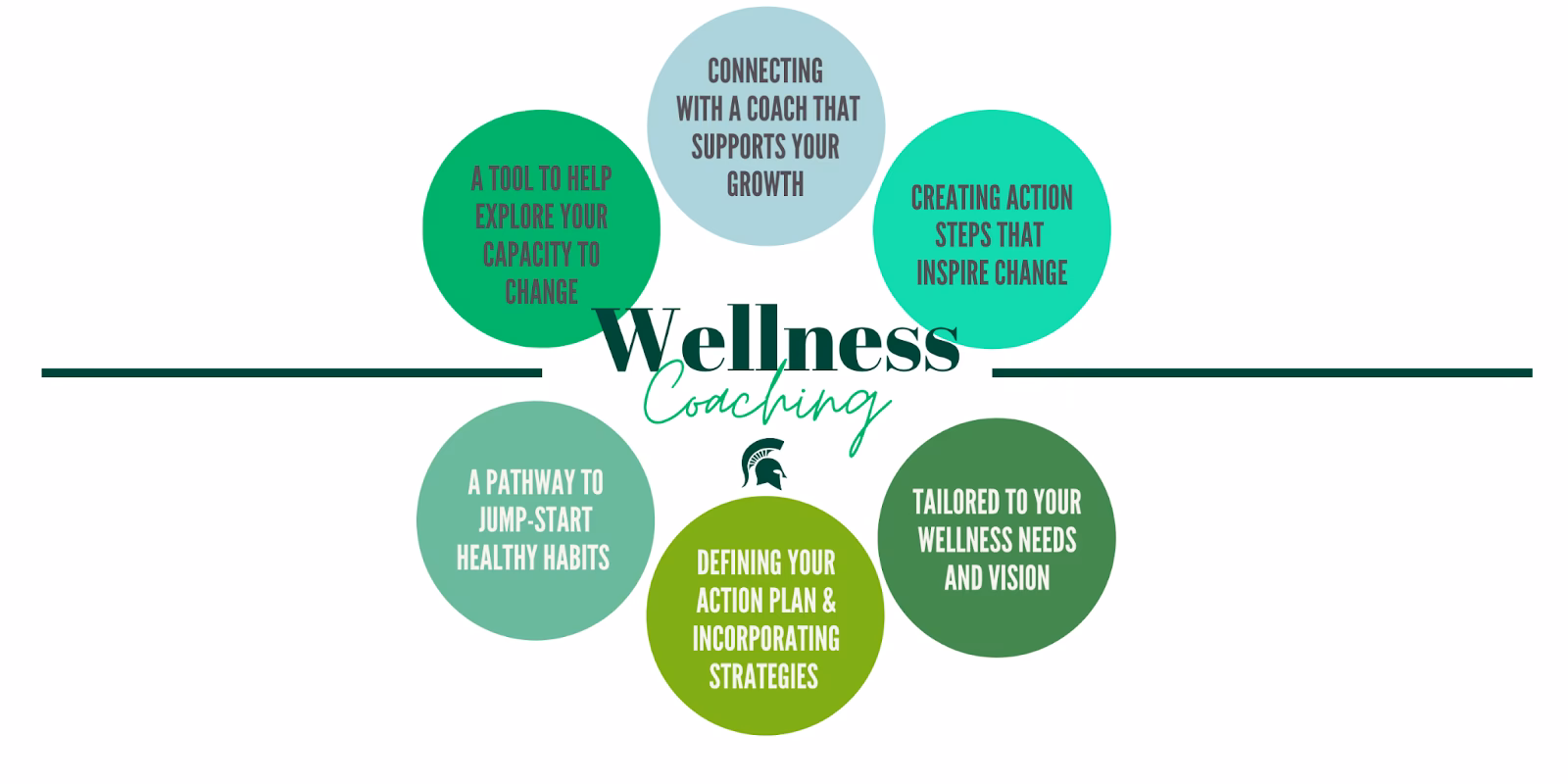 What is a holistic wellness coach?